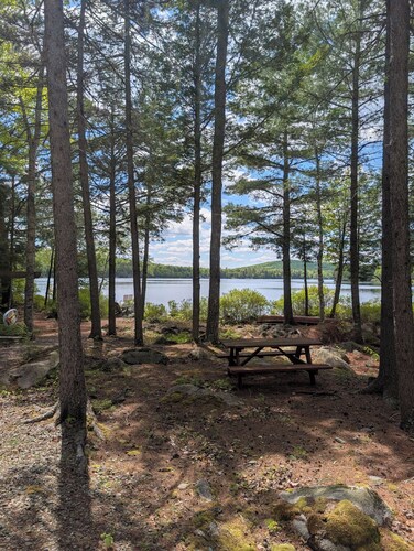 Private waterfront cabin with 4 acres on Egg Pond - Lincoln