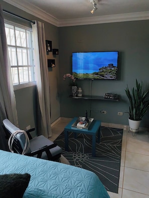 A living room with a television, a sofa, a coffee table, a potted plant, and a window with curtains. - Estudio Independiente,céntrico Apt3-a (Santo Domingo Este)