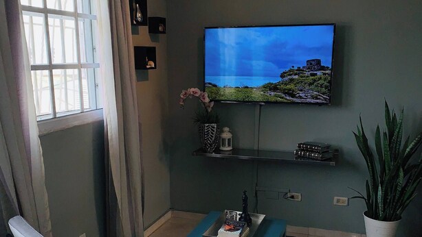 Olohuone, jossa on televisio, sohva, sohvapöytä ja ruukkukasvi.