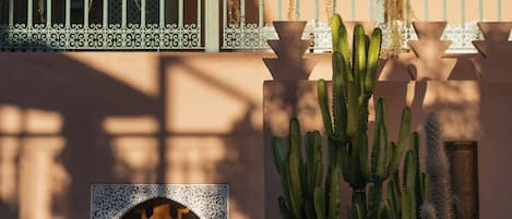 A building with a staircase, a cactus, and hanging lights.