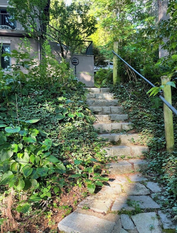 A stone staircase surrounded by dense greenery, leading to a building with a metal railing.