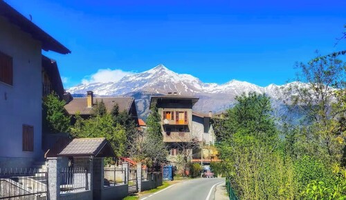 Belvedere House at the foot of the mountains, welcome our 4-legged friends