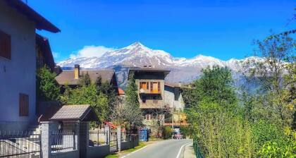 Belvedere House at the foot of the mountains, welcome our 4-legged friends