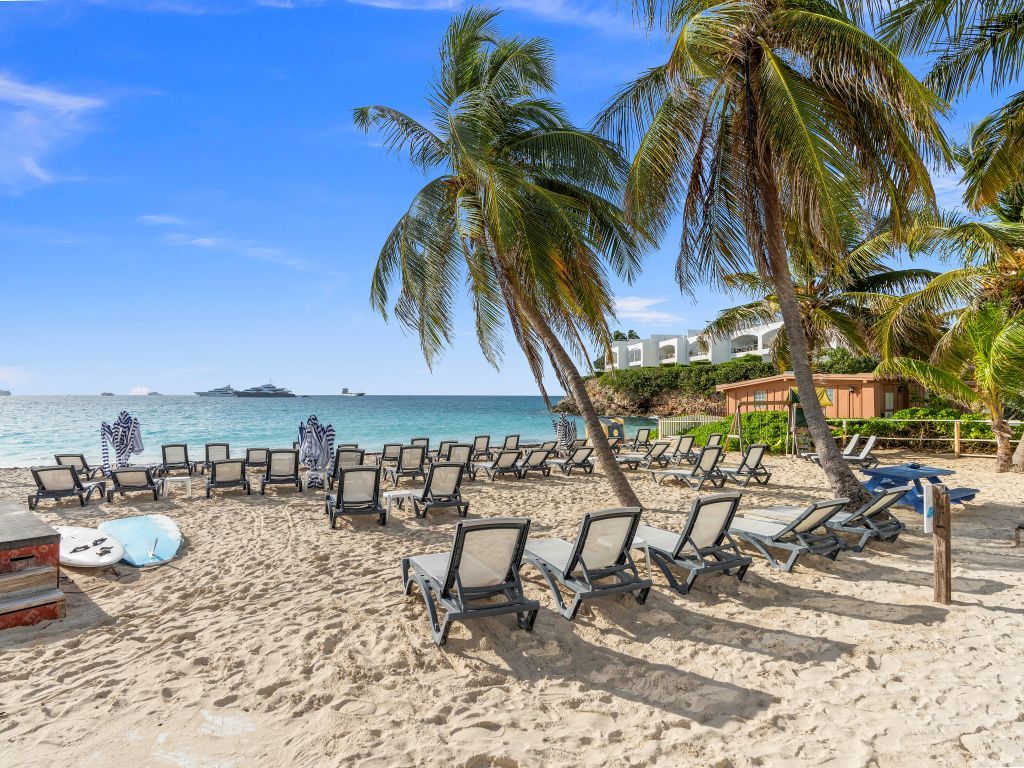 Ein Strand mit Reihen von Liegestühlen, Palmen und freiem Blick auf den Ozean.