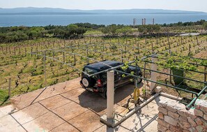 Ein Weinberg mit Reihen von Weinreben, ein geparktes Fahrzeug und eine ferne Aussicht auf Meer und Berge.