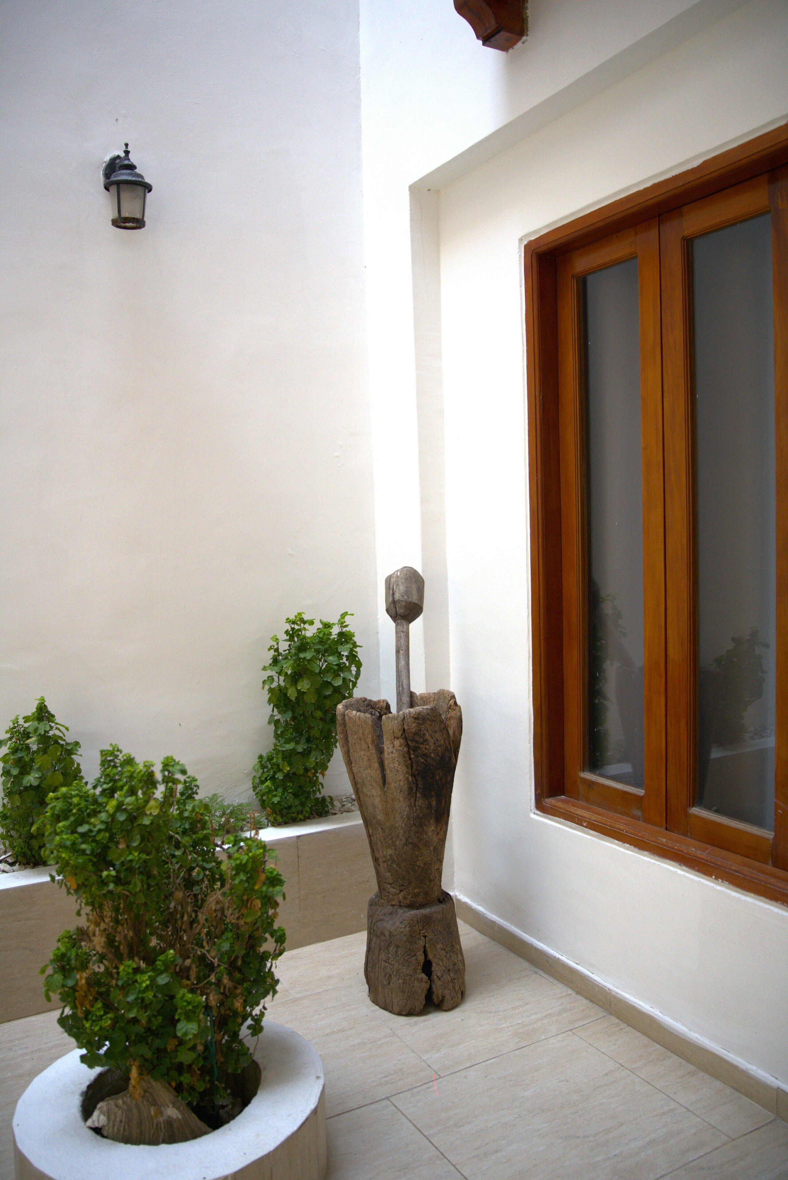 A potted plant, a wooden sculpture, and a window with a wooden frame.