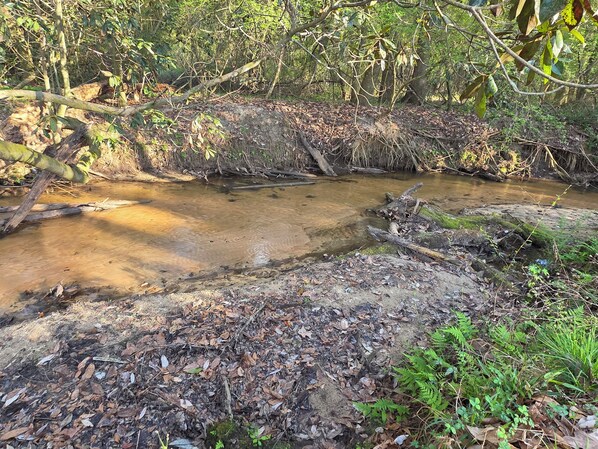 A natural stream with surrounding foliage and a fallen tree.