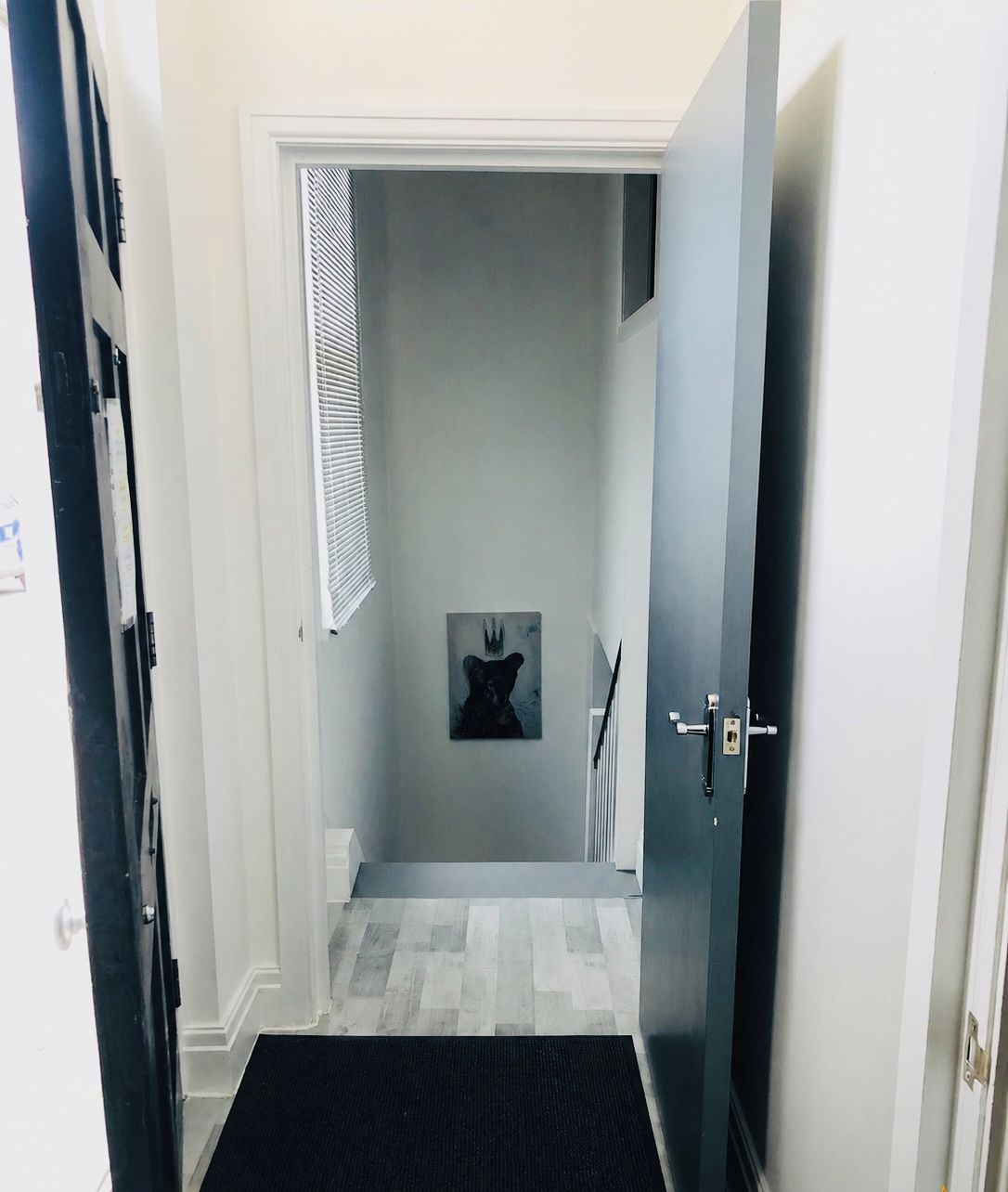 A hallway with a door leading to a room, a black mat at the entrance, and a framed picture on the wall.