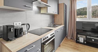 FarawayHomes Studios Leoben P74