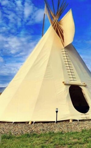Ein großes, kegelförmiges Tipi mit einer seitlich angebrachten Leiter, das auf einer Wiese steht.