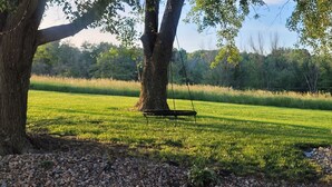 A swing hanging from a tree in a grassy field. - Kansas City 3-bedroom farmhouse on peaceful acreage near Legends entertainment! (Kansas City)
