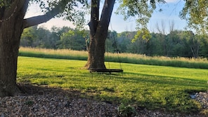 A swing hanging from a tree in a grassy field.