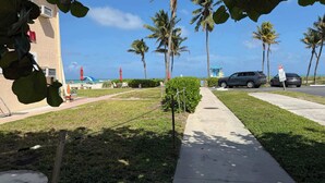 A pathway lined with palm trees, a small bush, and a building with a blue roof. - Oceanfront Escape on Hollywood Beach (Hollywood)