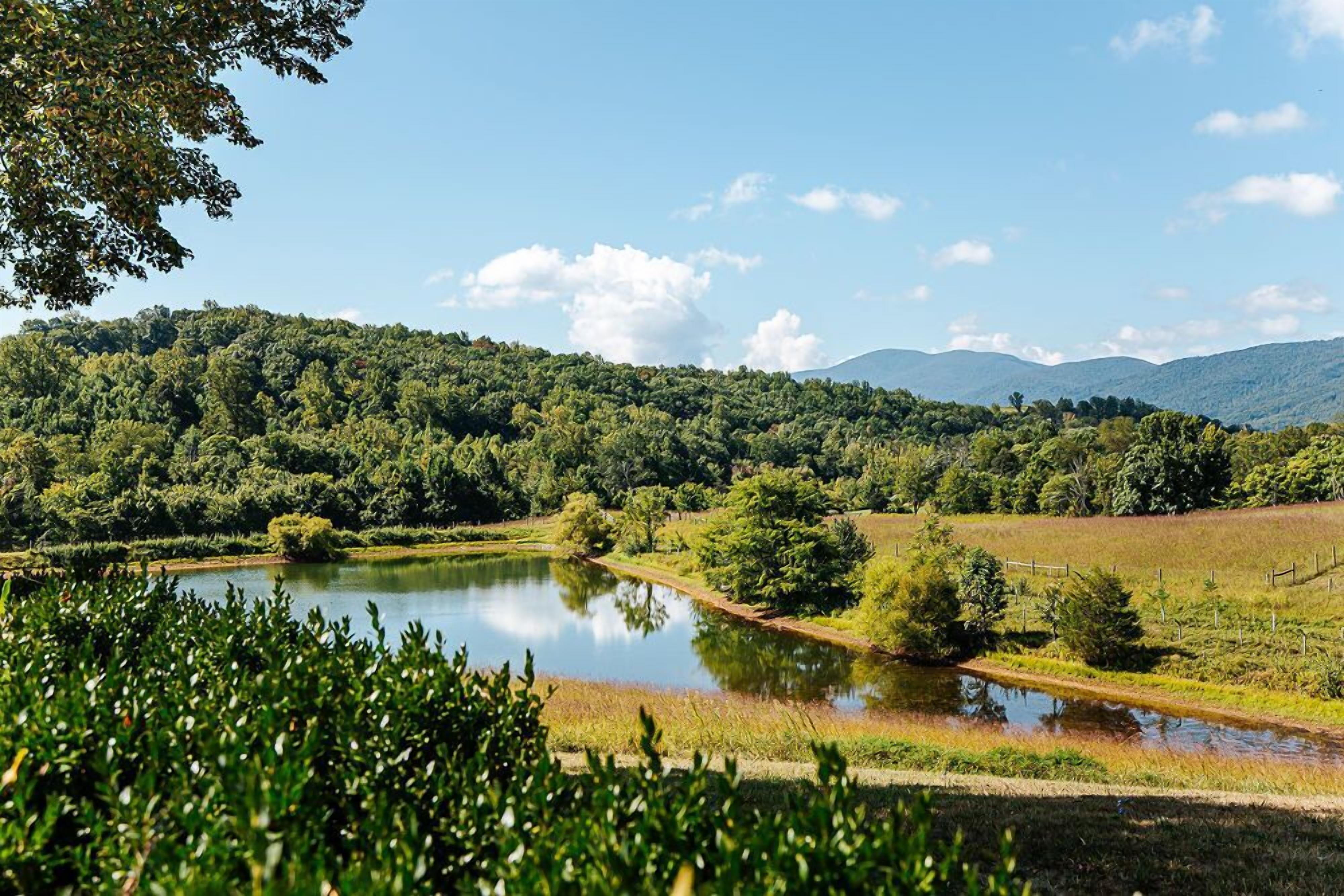 A serene landscape with a lake, dense forest, and distant hills.