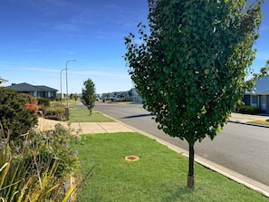 A residential street with houses, a tree-lined sidewalk, and a clear sky.
