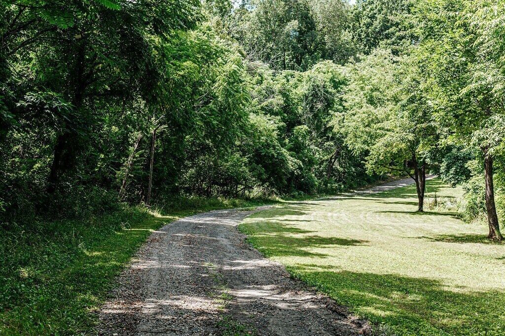 A gravel path in a park with dense trees on both sides.