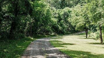 A gravel path in a park with dense trees on both sides.