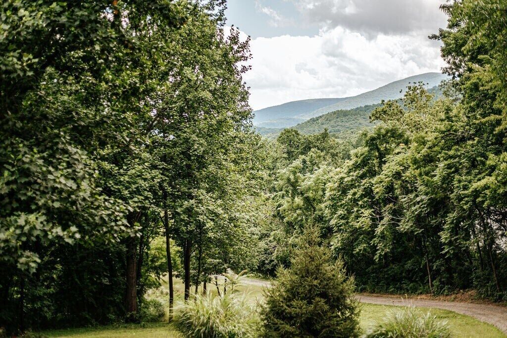 Un paysage verdoyant et luxuriant, avec des arbres denses et un sentier sinueux.