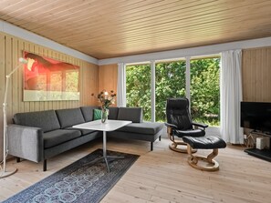 Fernseher, Kamin