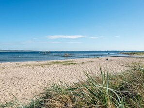 Ein Strand mit einem Steg, der ins Wasser führt, Sanddünen und Grasflächen.