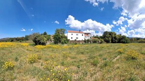 Ein weißes Gebäude mit rotem Dach, umgeben von einem Feld voller gelber Blumen und Bäumen.
