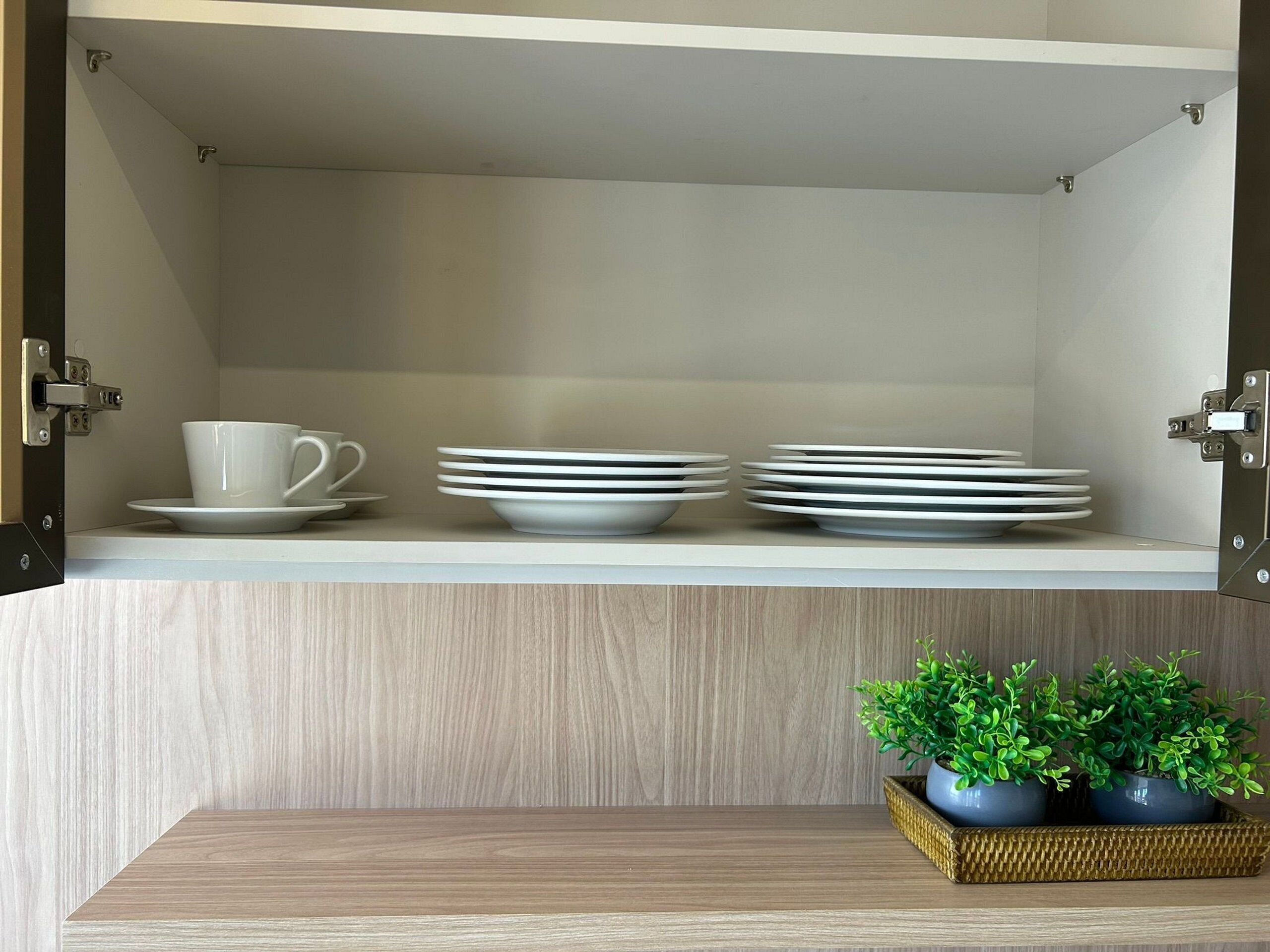 A kitchen cabinet with white plates and a cup, and a small plant on a wooden shelf.