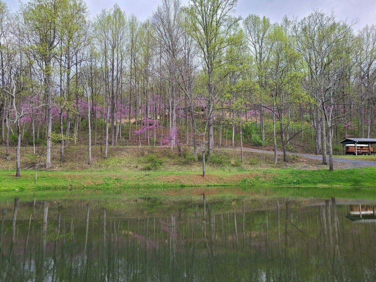 A tranquil lakeside setting with a wooden cabin, surrounded by trees and a grassy area.