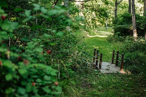 A wooden bridge in a lush green forest. - The Pond Cabin (Linden)