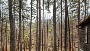 A cabin surrounded by tall pine trees in a forest. - Tucked Inn: Upper Unit (Nellysford)