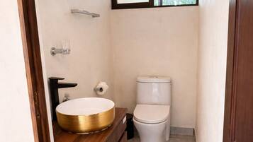 Regadera, toallas, jabón, papel de baño