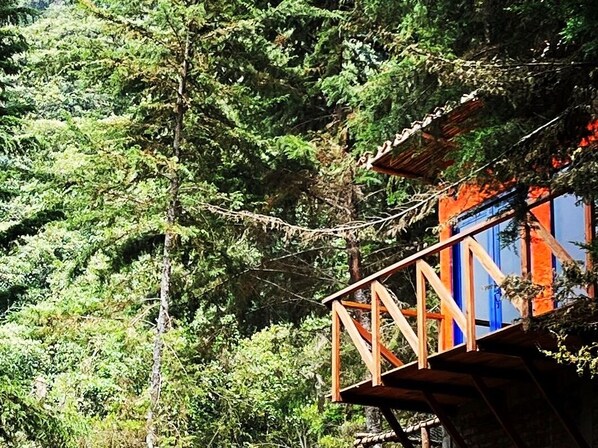 Une terrasse en bois avec une balustrade, un bâtiment aux couleurs bleu et orange, et une forêt dense en arrière-plan.