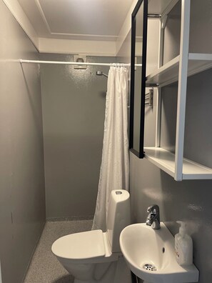 Un baño con inodoro, lavamanos, ducha y espejo.