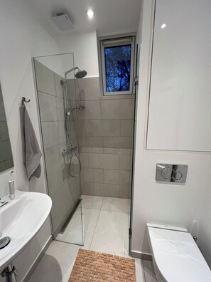 Douche, sèche-cheveux, serviettes fournies, savon