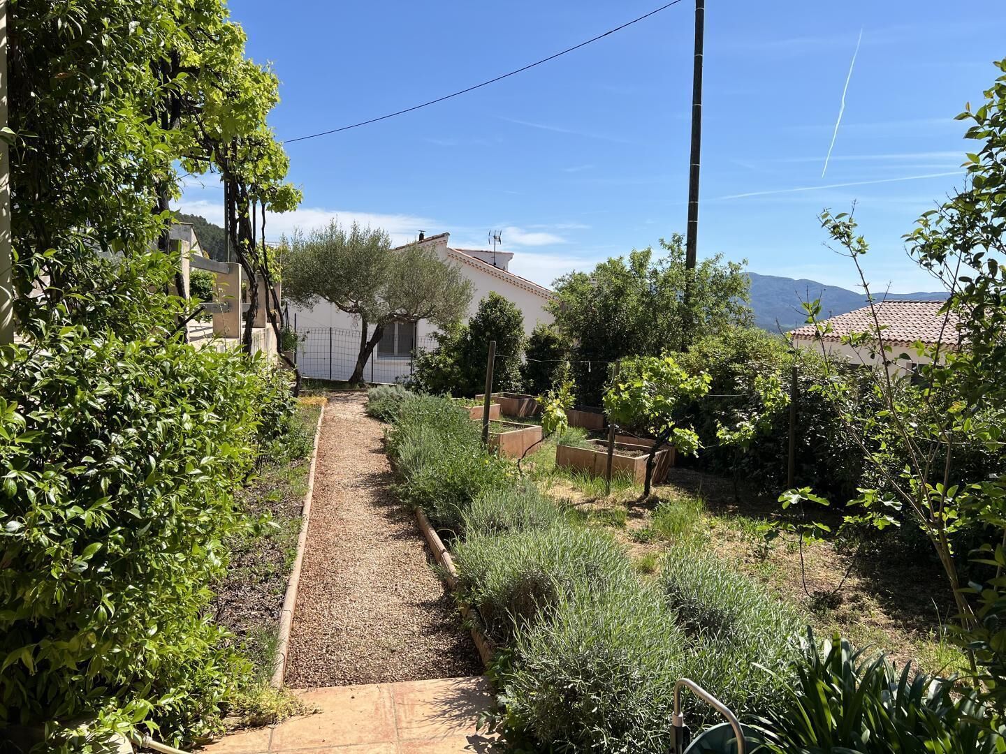 Ein Gartenweg führt zu einem Haus mit umzäunter Fläche und einem Berg im Hintergrund.