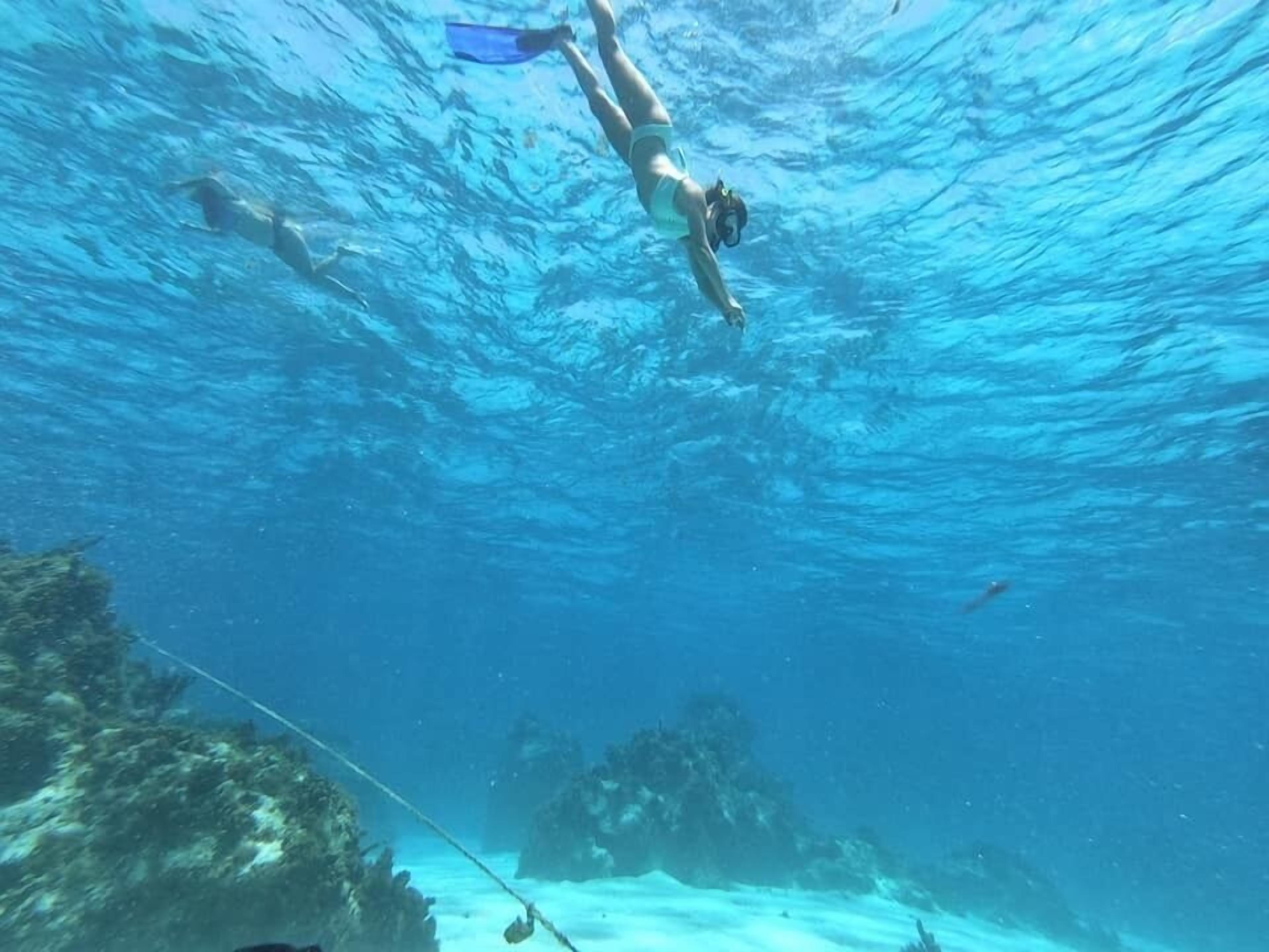 An underwater scene with a person swimming, clear water, and visible underwater rocks.