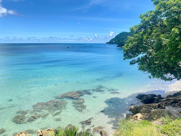 A coastal landscape with clear water, rocky shore, and a tree.