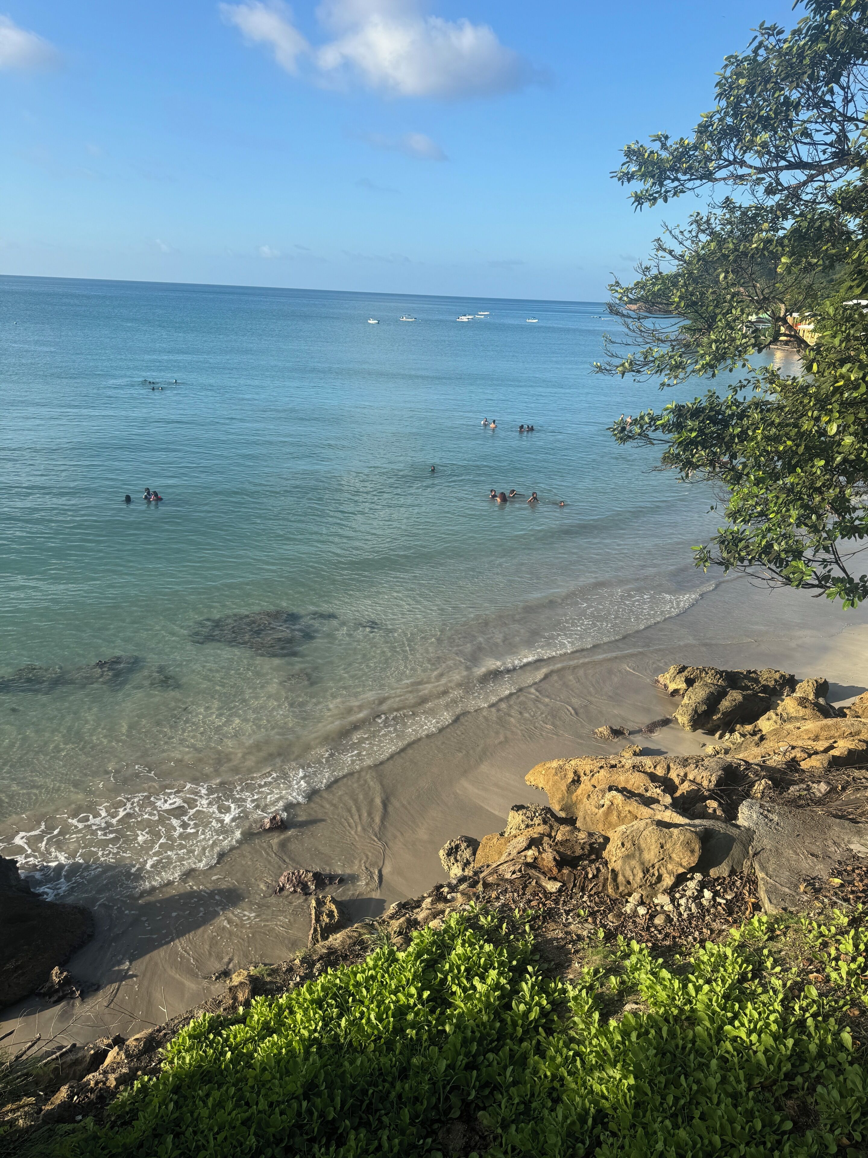 A beach with clear water, rocks, and greenery.