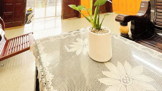 A room with a large potted plant on a table, wooden doors, and a bench.