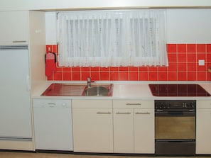 A compact kitchen with a sink, oven, and dishwasher. - Brentsch Park, (Scuol) by Interhome (Scuol)