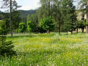 Property grounds - Brentsch Park, (Scuol) by Interhome (Scuol)