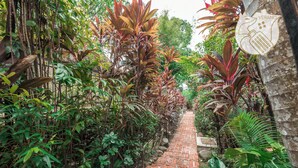 A brick pathway surrounded by lush greenery and plants.