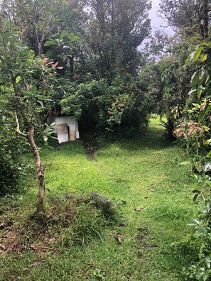 Ein üppiger Garten mit verschiedenen Bäumen und Sträuchern, ein kleines weißes Gebäude und eine Rasenfläche.