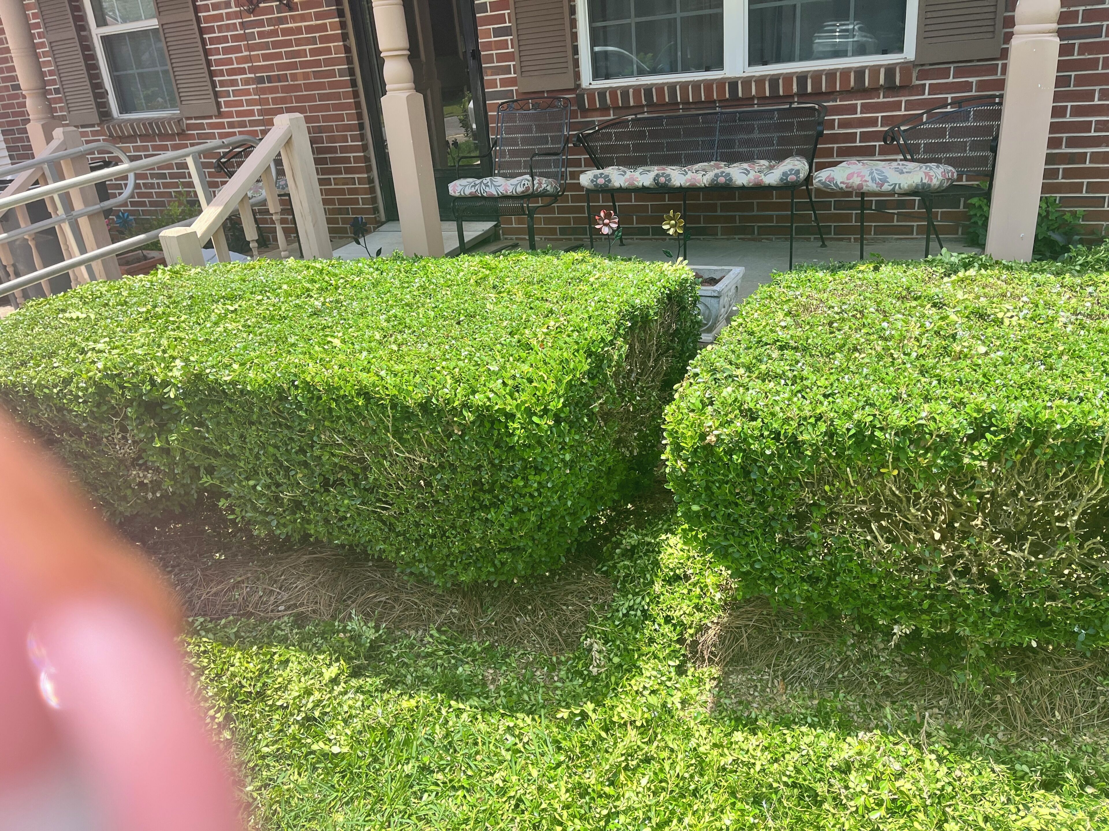 A well-maintained front yard with neatly trimmed hedges, a brick house, and a bench.