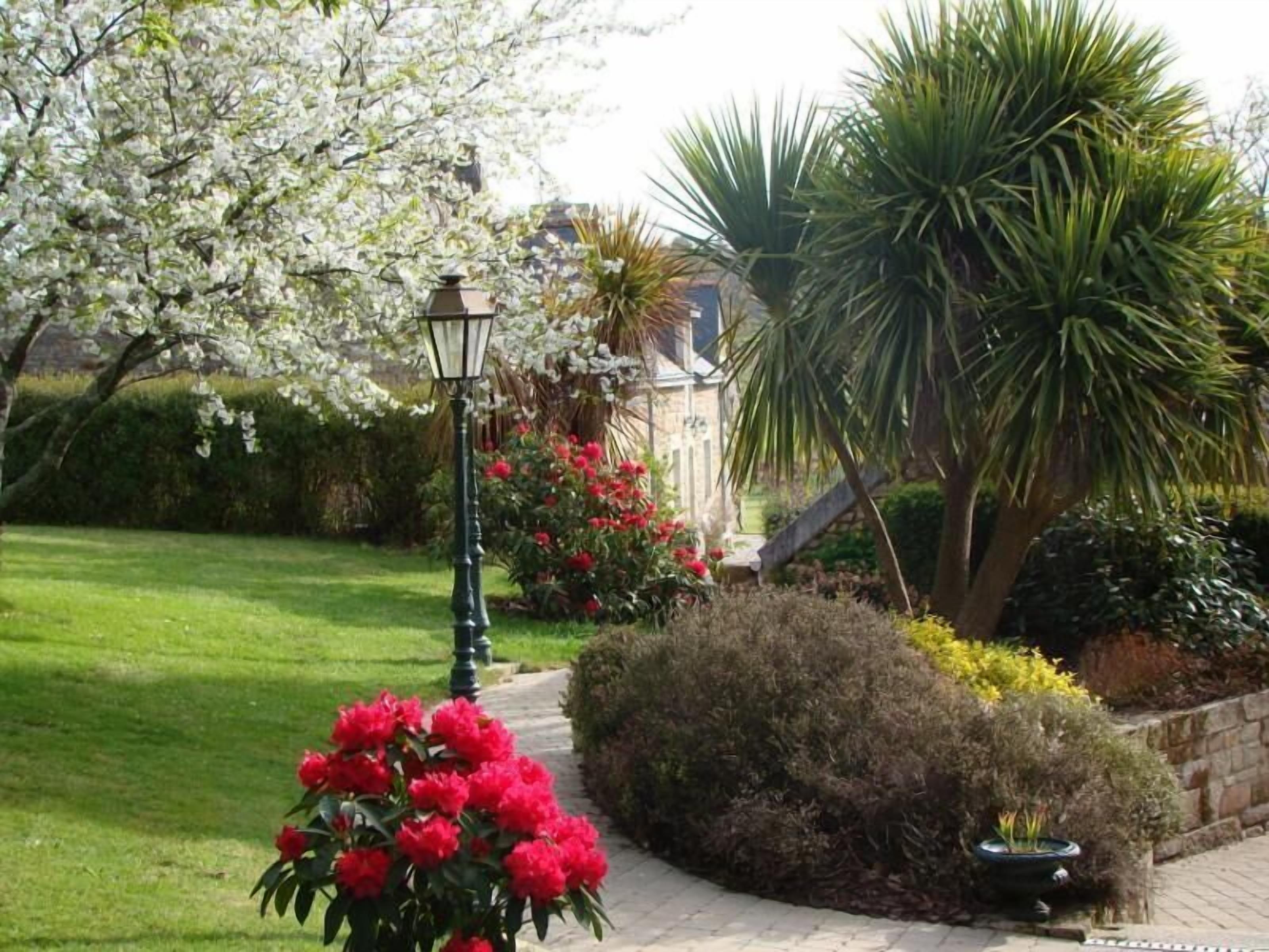 A garden with a pathway, a lamp post, and various plants including a large palm tree.
