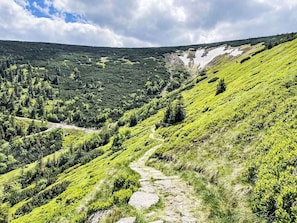 A mountainous landscape with a stone path leading through a valley. - Apartment Černý by Interhome (Rokytnice nad Jizerou)