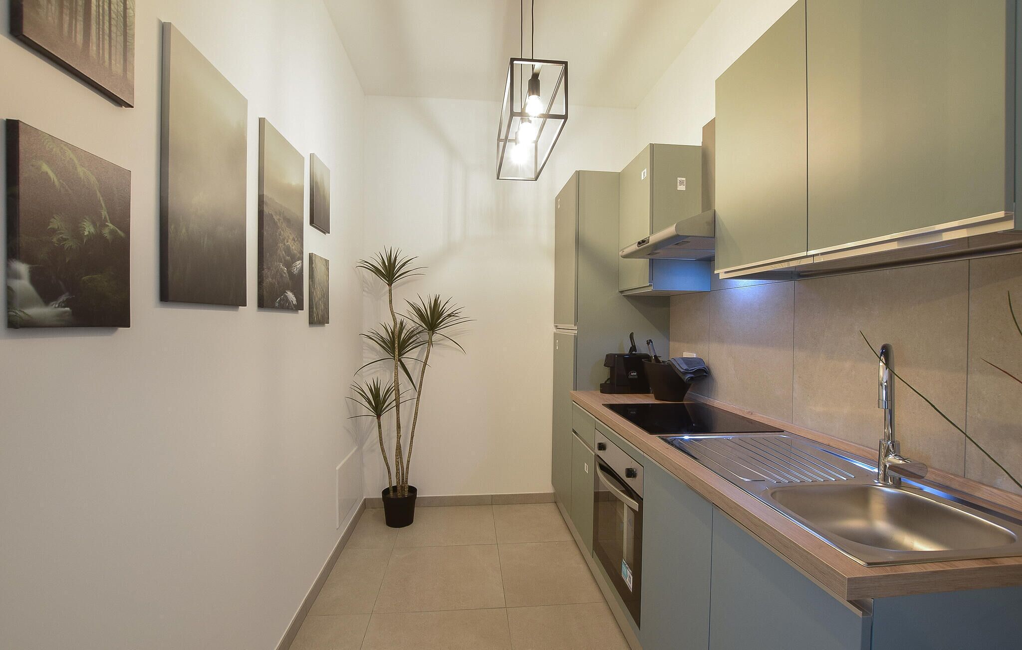 A modern kitchen with a built-in oven, a sink, and a stove. There are framed pictures on the wall and a potted plant.