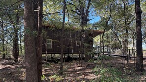 Une cabane en bois située dans une forêt, dotée d’une terrasse et d’un espace clôturé.