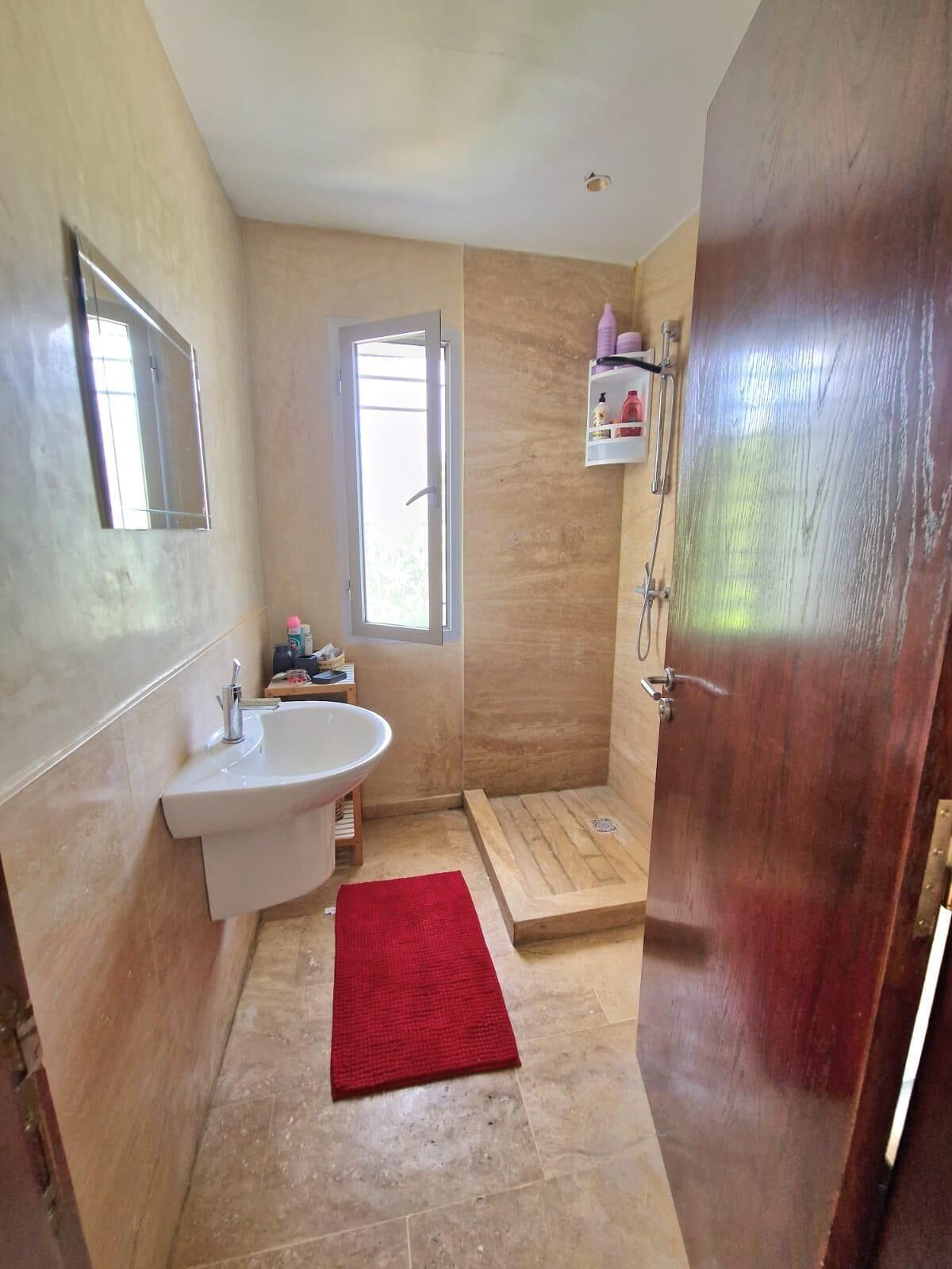 Un baño con lavamanos, espejo, ducha y una alfombra roja.
