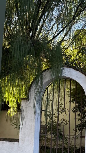 A gated entrance with a metal gate and a concrete archway.