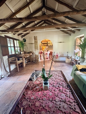 A cozy room with a wooden ceiling, a patterned rug, a potted plant, and a cat resting on the floor.